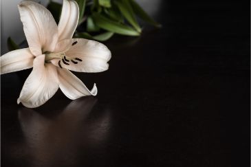How Litigation Funding Helps Michigan Wrongful Death Plaintiffs Seek Justice